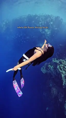 #freedive #freediving #fyp #menjanganisland 