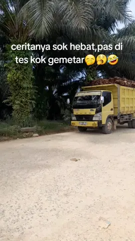 #fyp #masukberandafyp #driversawit #sawitontiktok #fyppppppppppppppppppppppp 