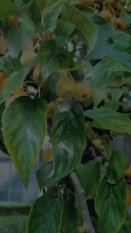 #CapCut #zaza #القران #رسالتي #tiktok 