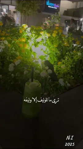 #راشد_الماجد #exploreاكسبلورررر #fyp #تصميم_فيديوهات🎶🎤🎬 #تصويري 