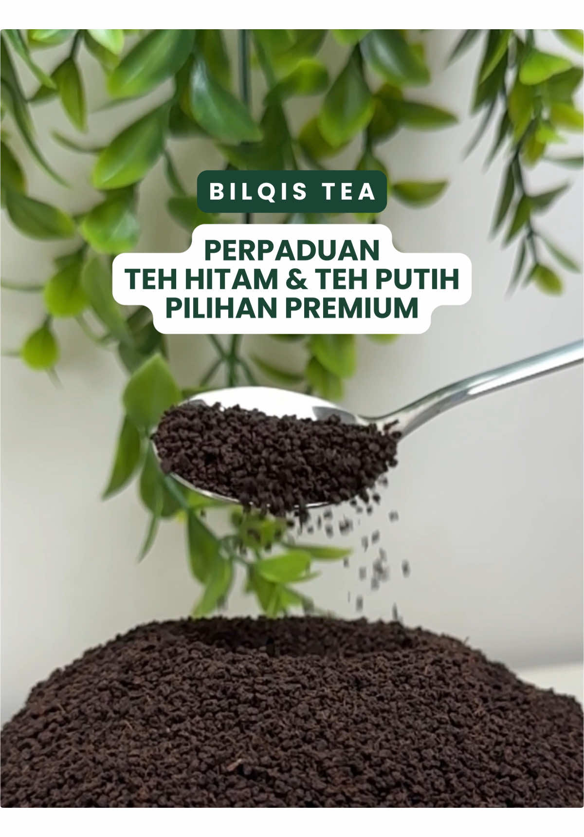 🌿 Bilqis Tea adalah perpaduan dari teh hitam dan teh putih pilihan premium, yang diambil dari daun Camellia sinensis terbaik. Setiap tegukan memiliki rasa yang otentik dan menyegarkan. minum bilqis tea setiap hari,  setiap seduhan, sejuta manfaat 🍃 #bilqistea #tehhitam #tehputih #tehpremium #tehkesehatan 