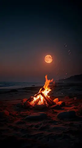 Windy Beach Fire #Background #LiveWallpaper #Aesthetic #Nostalgia #beach 