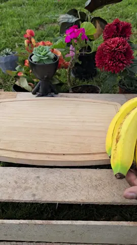 Turn your banana peels into a natural, powerful fertilizer for your garden! Learn how to prepare, heat, grind, and apply banana peel powder to boost plant growth, flowers, and fruit quality. #BananaPeelFertilizer #OrganicFarming #DIYGarden #PlantGrowth #SustainableGardening 
