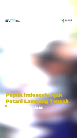 Follow me, get more interesting AI cat vedio  #cat #orangecat #orangecatsoftiktok #fyp 