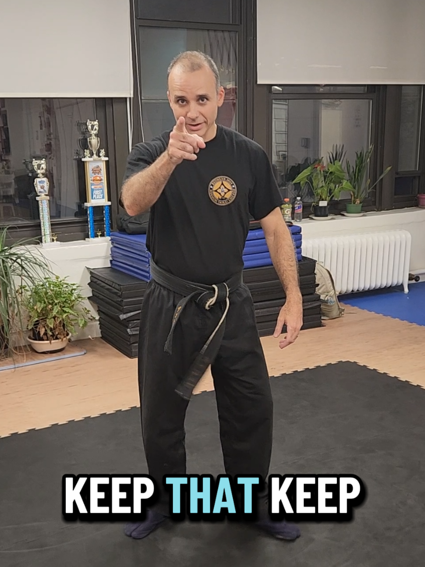 I FELL DOWN! Sideways breakfall Bujinkan Dojo  #bujinkan #martialarts #training #Dojo #Fitness 