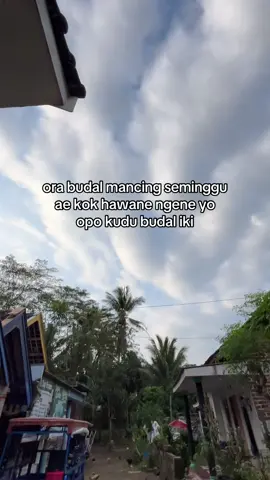 opo iki pertanda di kongkong budla mancing bess? #pemancing #storymancing #mancing #mancing 