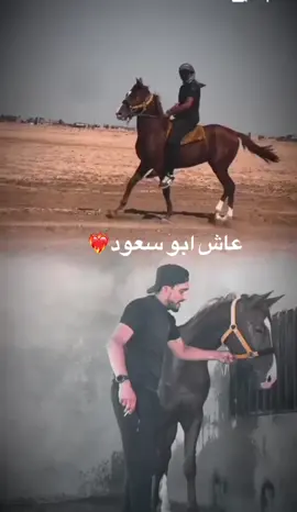 @باسل النهر 
