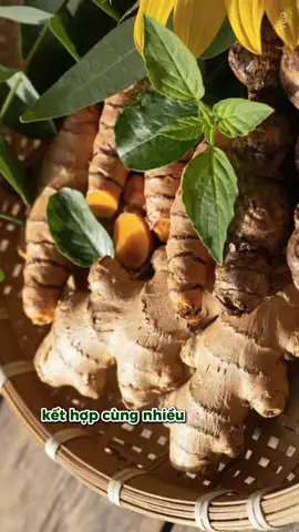 Dân thể thao thì phải dãn cơ đúng cách nha #conlanvaigay #coorganic #LanTỏaYêuThương 