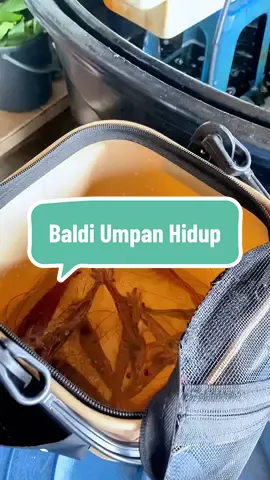 Pening nk letak mana umpan hidup korang?? Korang kena ada baldi ni..siap ada poket utk letak pam oksigen..grab sekarang!! #kakipancing #umpanhidup #takkumpaubossku #fishing #bekasumpanhidup 