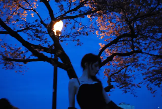 Went and took these during cherry blossom season then totally forgot they existed #altgirl #fyp 