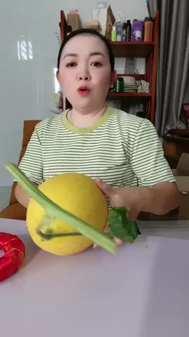 Đế chưng bưởi, dưa, dừa#diemmy_taphoa 