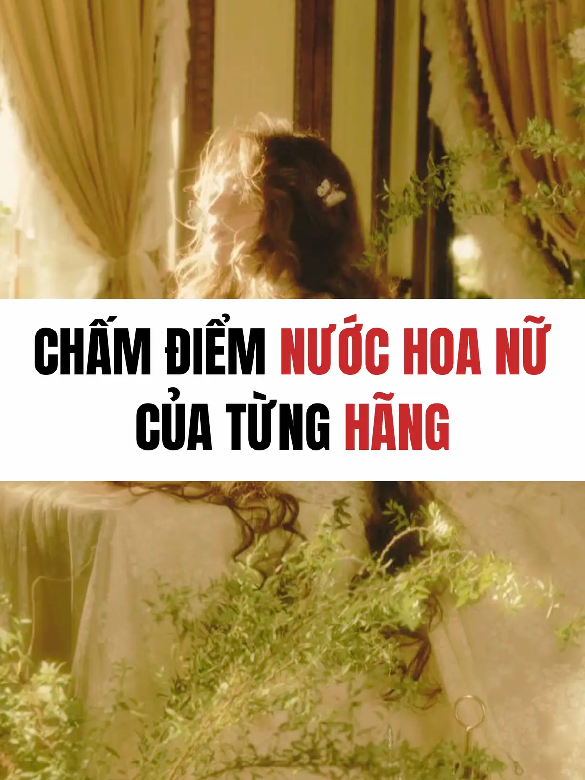 #nuochoa #BeautyTok #citrusperfume #nuochoanu #reviewnuochoa 