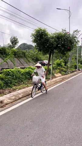 Phú le đây 