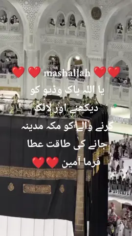 #12۔ربیع۔الاول۔کی۔آمد۔مبارک۔ہو🥰❤️ #mashallah #viraltiktok #foryoupage❤ #وڈیو۔کو۔ریپوسٹ۔کریں۔♥️♥️ @Nadeem Abbas @Rai pervaiz Ali 786 @Haji Ma Wakeel78611 @muhammadtoseeq199 @Habiba @Abdul Gaffar gujjar @Allah Rakah @ASIF.DOGAR9053 @Abdul Qadeer @Adnan sami @asfia ali @Arif Khussa Manufacturer 