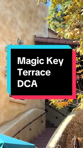 If your a first time magic key-er like me this is definitely a restaurant to try #magickeyholder #magickeyholders #magickey #disneyparks #disney @Disney Parks 
