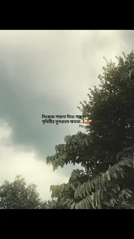 নিজেকে শান্তনা দিতে পারা পৃথিবীর সুন্দরতম ক্ষমতা..!😅❤️‍🩹#foryou #trending #tufayel100k #popularvideo #captionvideo 