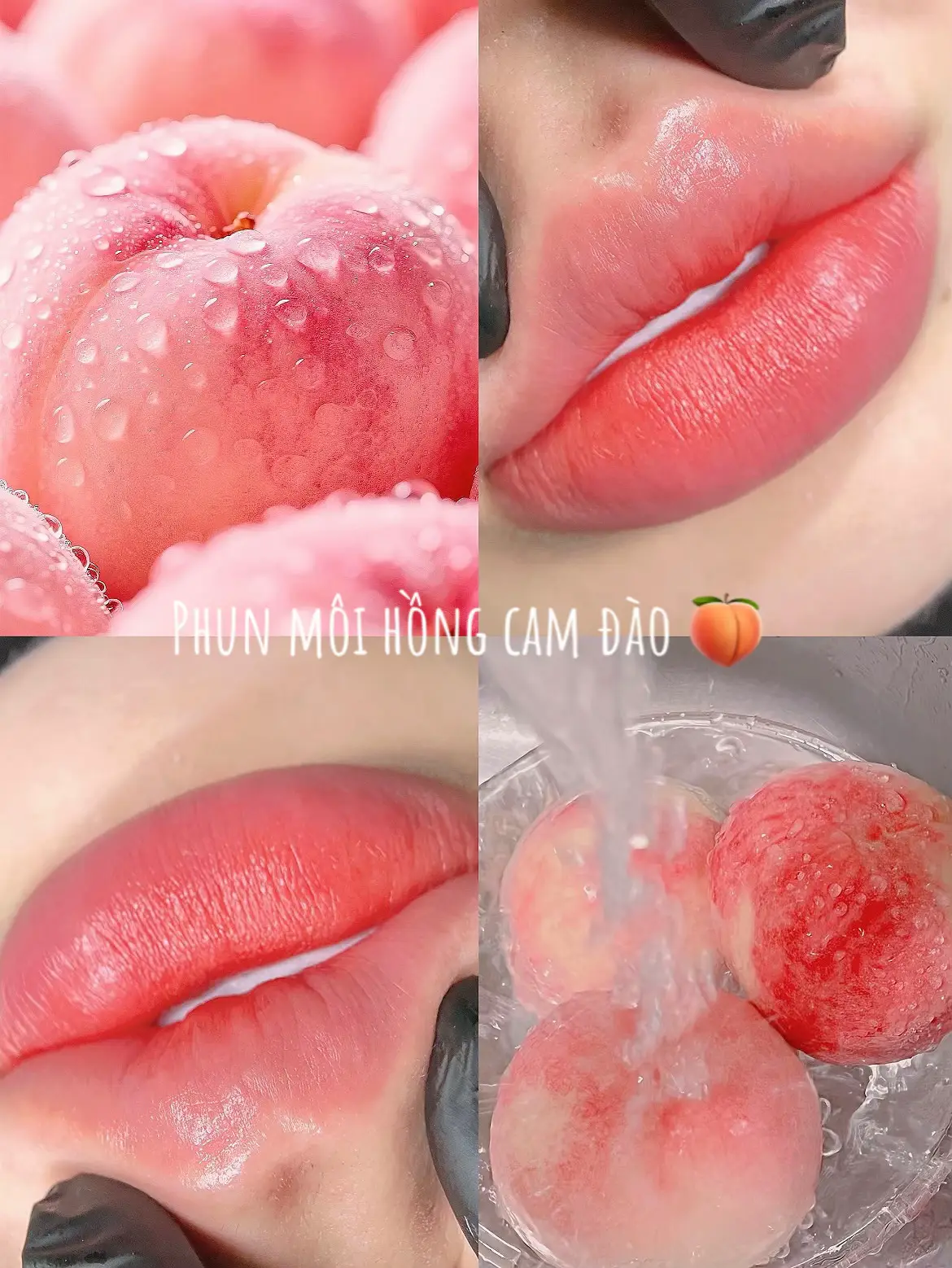 #phunmoi #phunmoidep #phunmoitunhien #phunmoitanvien #phunmoiximuoi 