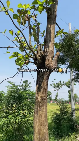 #pakeronmagelang #pakeronpunyacerita #magelang24jam #gwsmlovers👹 #masukberandafyp #fypシ 