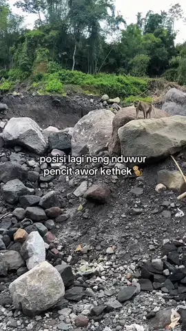 kangen ngori😁