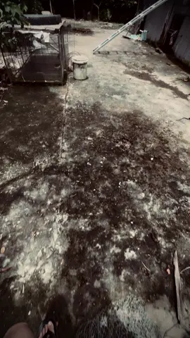 Tình ta như sống biển, ngoài đại dương xanh..!#viral #xhh #fyp 