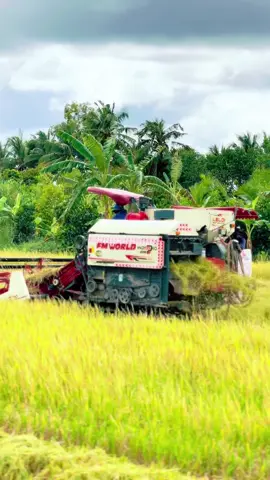 Công 7 bịch@👨‍🌾 LÝ ĐIỀN 👨‍🌾 @TàiLùn 67N1 @Quang khải @vanthanh67d1 #xuhuong #kubota #105xขอนแก่นทีมงานหนุ่มรถเร่ #wd135pro #108xដេញមួយ 