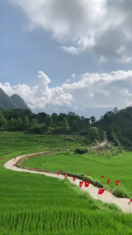 May quá hôm nay vắng người, trời trong xanh nắng hiền hoà 😋 lúa thì xanh mơn mởn 🥰 Quay bao đẹp 😍 #puluong2025 #combo365 #combo365shop #giadinhbongsanboi #vfe34 