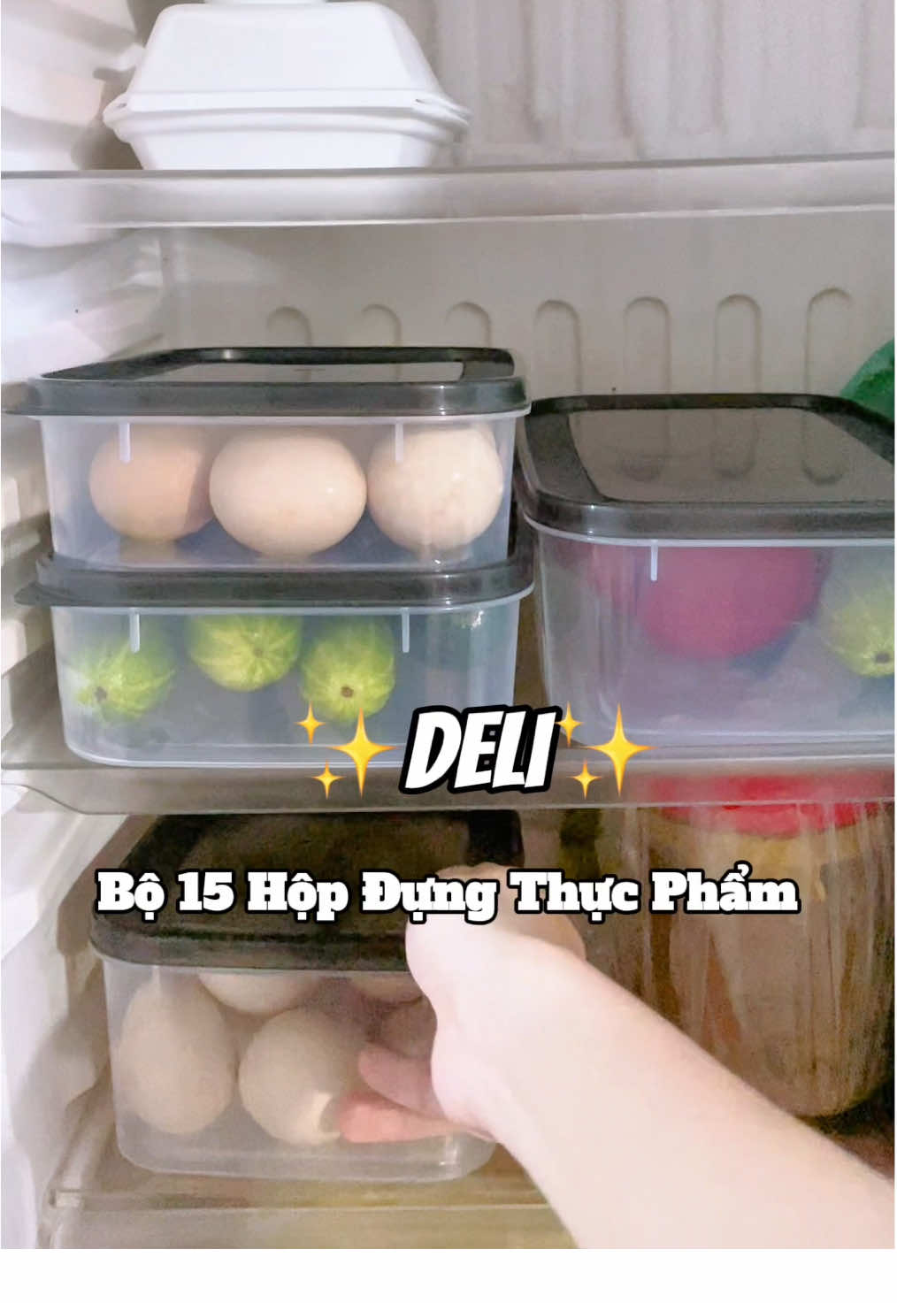 Combo 15 hộp đựng thực phẩm nhà deli  #hopdungthucpham #hopdungthucphamtulanh #hopdungdoan #deli #reviewbylinhh 