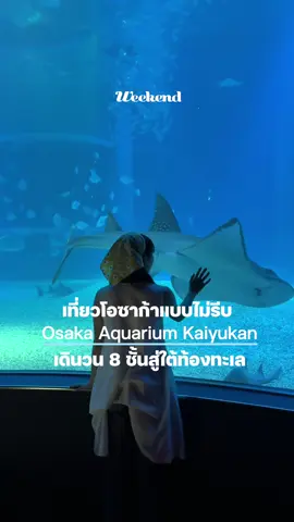 พาไป Osaka Aquarium Kaiyukan หนึ่งในบัคเก็ตลิสต์ของใครหลายคนที่ต้องมาเห็นให้ได้ด้วยตาตัวเองที่โอซาก้า ที่นี่ตั้งใจออกแบบมาให้เราค่อยๆ ดำดิ่งลงไปใต้ท้องทะเล ราวกับเป็นส่วนหนึ่งของธรรมชาติ และได้พบเจอกับสิ่งมีชีวิตมากมายที่ไม่ว่าใครมาก็ต้องหลงรักแน่นอน 🦭 🛄 ข้อมูลการเดินทาง: ลง Osakako Station (Chūō Line)  และเดินต่อ 5 นาที  ⏰ เปิดทุกวัน 10:00–20:00 น.  🎟️ บัตรค่าเข้า ประมาณ 2,400–2,700 ¥  📌 เว็ปไซต์: https://en-61698.site-translation.com/  #WeekendMagazine #WeekendTravel #WeekendOsaka #OsakaAquariumKaiyukan 