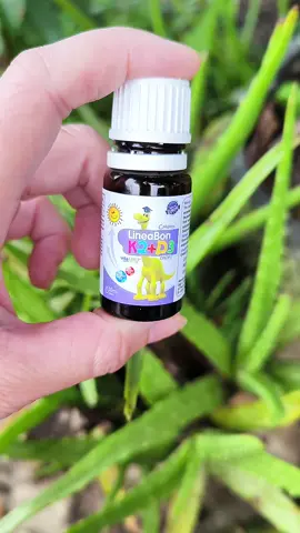 Vitamin K2D3 Lineabon bổ sung vitamin cần thiết cho sự phát triển của trẻ  #d3 #d3k2 #lineabond3k2 #xuhuong #viral 