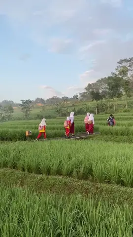 wilujeng leleson akang teteh🥰🥰🙏 #lagusunda  #pedesaan 
