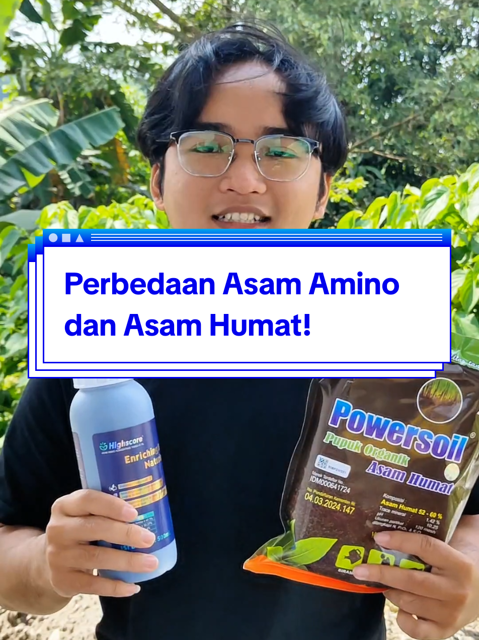 Membalas @mujibodronoyo Perbedaan Asam Amino dan Asam Humat! #highscoreasamamino #powersoil #pertanianindonesia #petanimuda #benihonline 