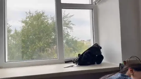 in college #anime #chainsawman #reze #wallpaper #pc 