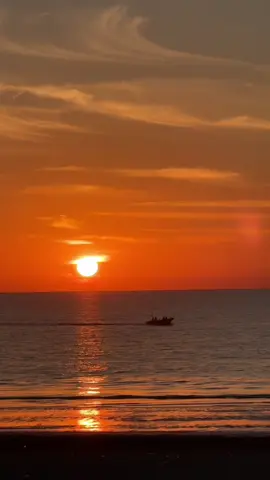 ہلا بیدا مارا 🕸️🕊️#younis_isam 