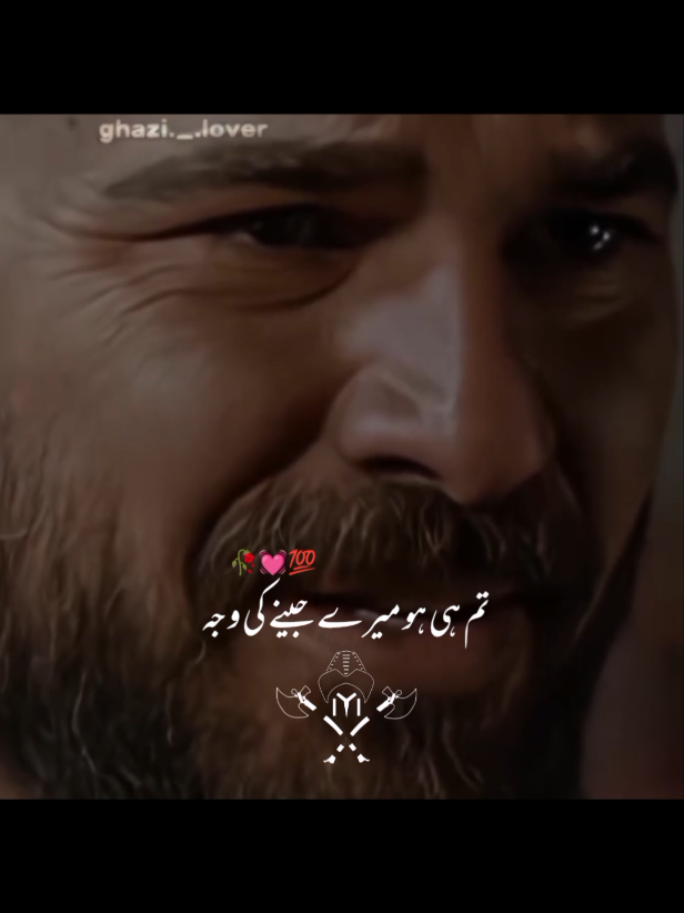 Erhal 💓 #ertuğrulgazi #dirlişertuğrul #kurlusosman #viralvideos #foruyou @TiktokPakistanOfficial 