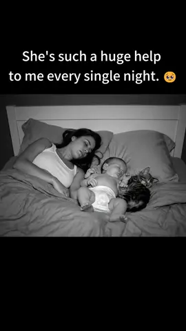 #fyp #viral #catsoftiktok #catgifts #fear #nope #cats #funnycat 