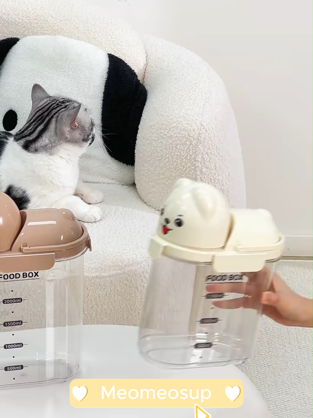 Vid này có cameo đặc biệt nha!!! Sắm cho Quàng thượng một cái đi nào~ #hudungthucanchomeo  #hunhuapet  #mèocute  #dodungchomeo
