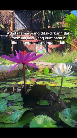 Sejajar tanpa ada sebuah rasa 😄 #psht #pshtpusatmadiun #terate #pshtindonesia22 #4u #fypシ゚ 
