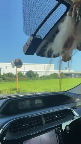 Tự nhiên thấy nhớ nhà 🥲