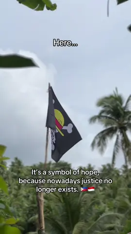 In the world of One Piece, pirates are not just criminals. Many of them are symbols of resistance to injustice, tyranny, and arbitrary power. Luffy and his crew are known for fighting corrupt systems, not because they are hungry for power, but because they want to live their own way free, honest, and not subject to oppressive rulers. Maybe that's why now many Filipino and Indonesian people are 