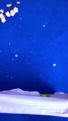 Đồ bộ quần áo bé gái áo phông #quanaotreem #thoitrangtreem #bococtaychobe #bocottonchobe #boquandaichobe 