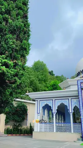 کتابونہ بہ دہ ٹول پہ وینو رنگ شی  کہ درتہ کم پہ جبین باندے حالونہ 🥹 #foryoupage #shakaradara #foryoupage❤️❤️ #foryou 