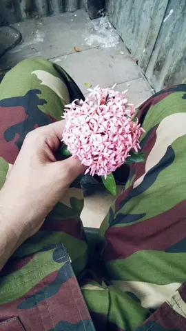 🌸🫶 #viral #trending #foryoupage 