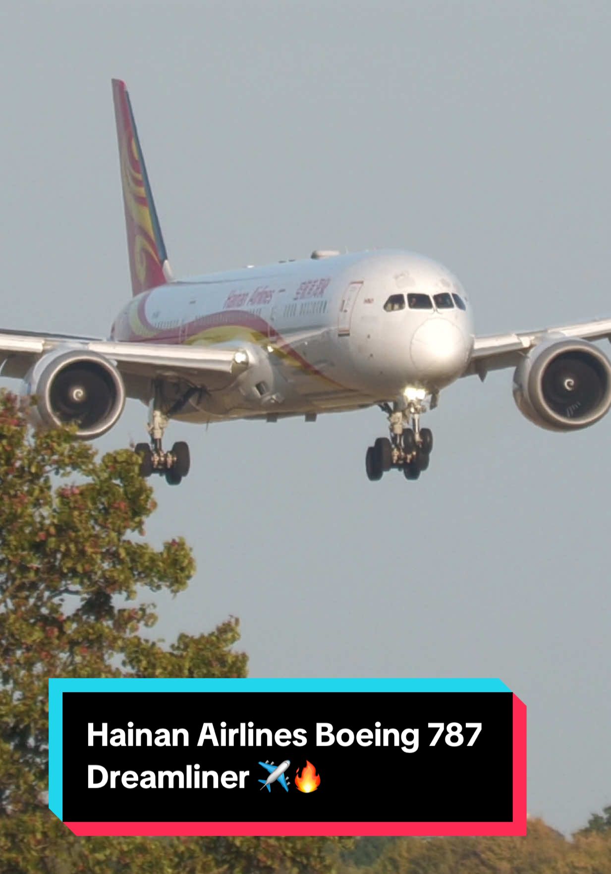 Hainan Airlines Boeing 787 Dreamliner ✈️🔥 #boeing #aviation #airplane #planespotting #landing 