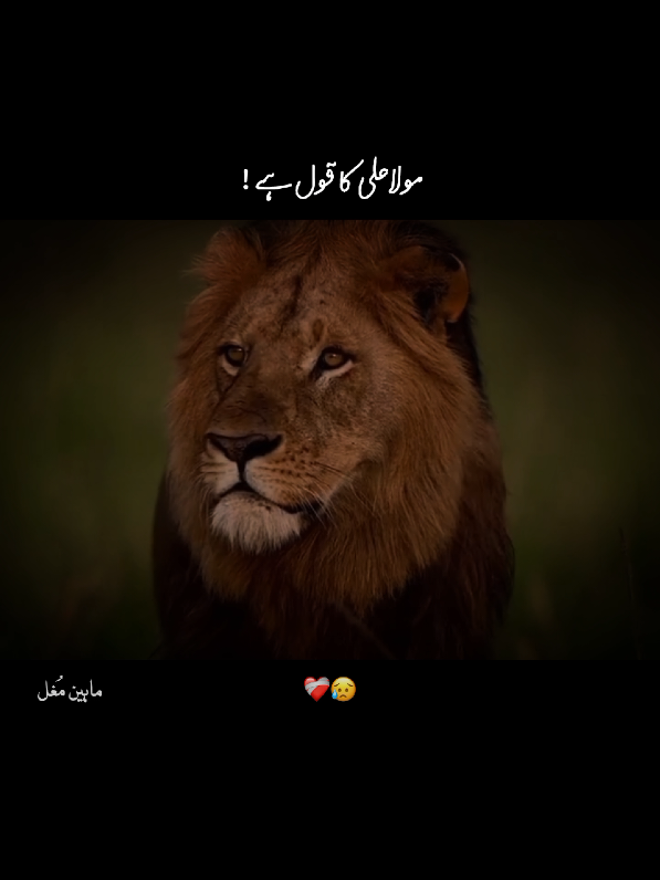 𝙈𝙤𝙡𝙖 𝘼𝙡𝙞 𝙆𝙖 𝙌𝙤𝙡~🔥❤️‍🩹😥🕊️~#rtthf❤️✅ #repost #trendingvideo #foryou #whatsappstatus 