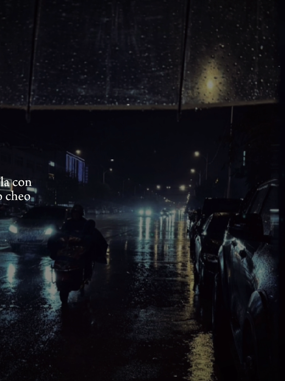 Ngoài cửa sổ là cơn mưa...!#nhachaymoingay #nhactamtrang #tamtrang 