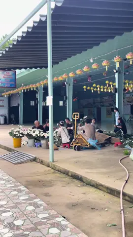 Trang trí đại lễ vu lan.🪷#xuhuong #spthichminhthien #vulanbaohieu 