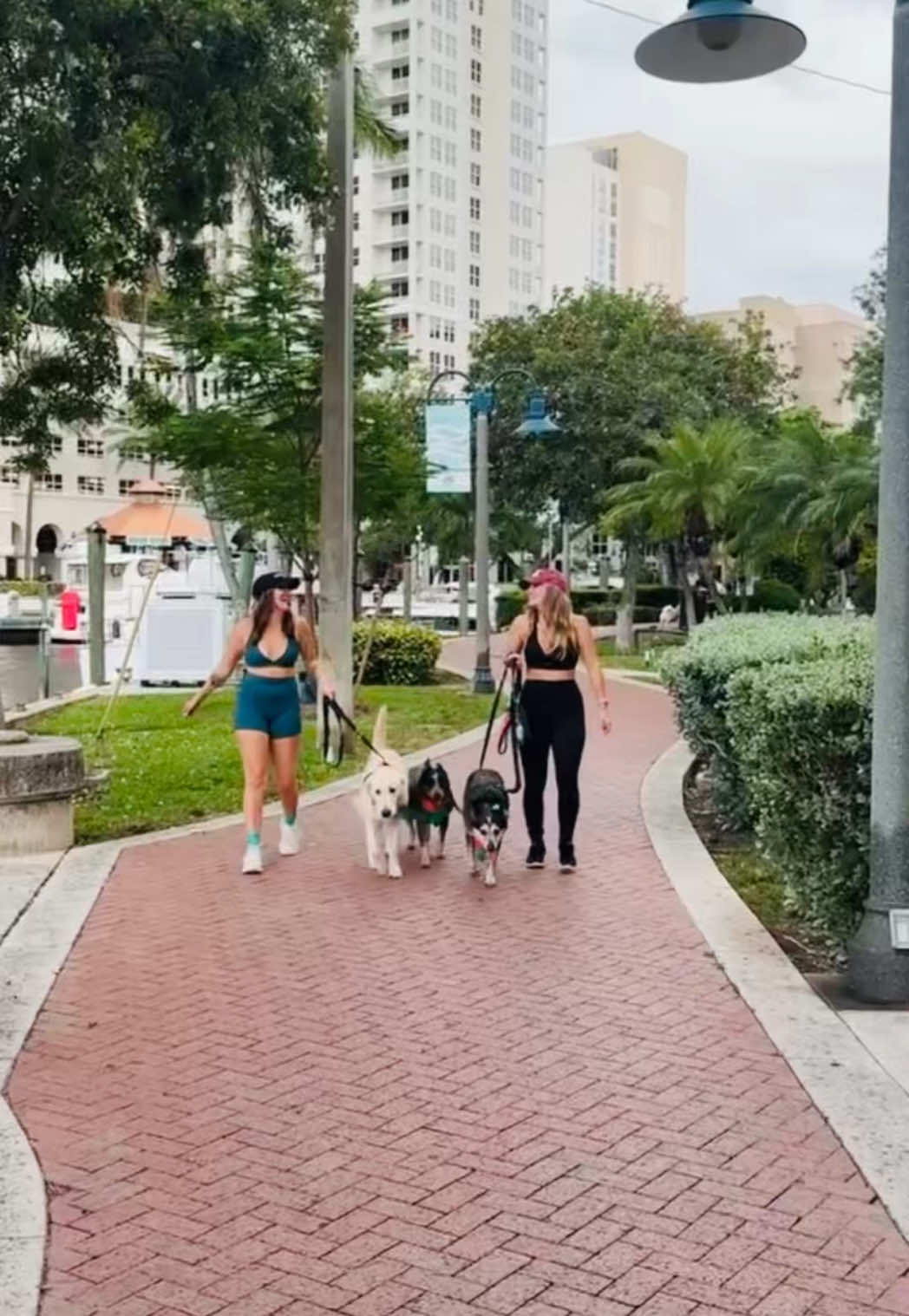Calling all dog moms 🐶💖 grab your leashes, pups, and besties… a secret stroll is coming your way soon 👀 #dogmom #ftl #fortlauderdale #fyp 