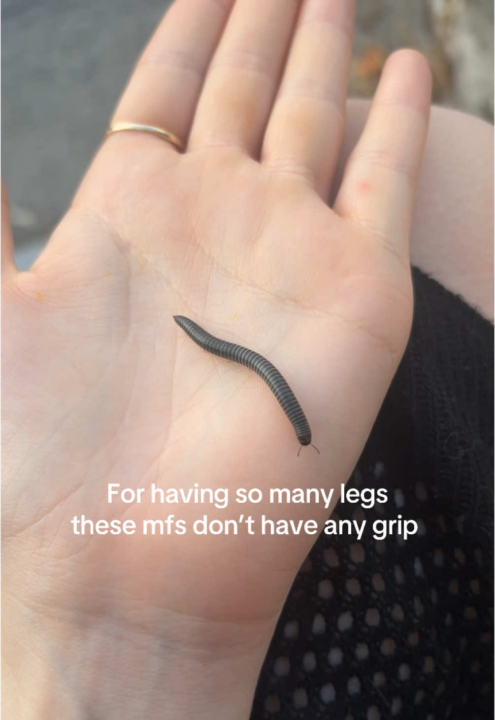 😭😭😭 WHADAHELL #millipedes #millipede  