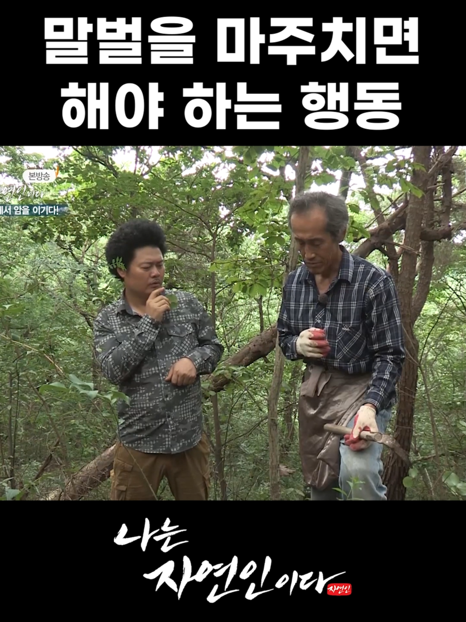 말벌을 마주치면 해야 하는 행동 #나는자연인이다 #260회 #MBN #다큐멘터리 #이승윤 #윤택 #정형석