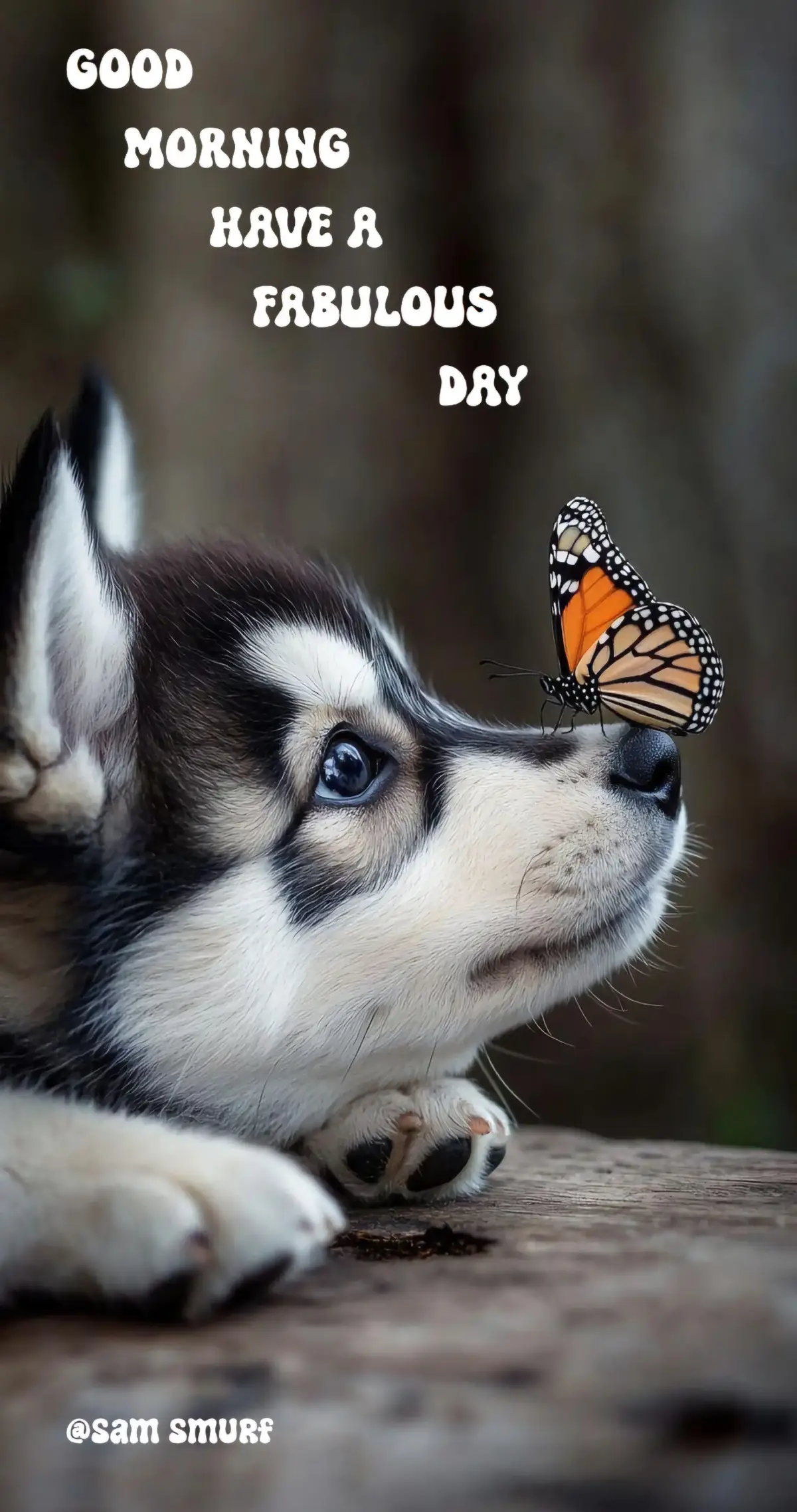 #goodmorning... good morning you fabulous people,  we're one step closer to the weekend have a fantastic day 